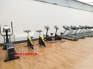 全世界前十名高档家用跑步机品质排行(图1)