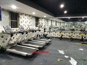 全世界前十名高档家用跑步机品质排行(图2)